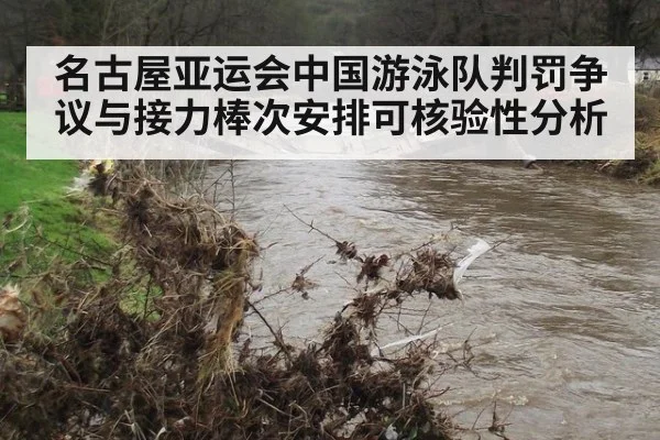 名古屋亚运会中国游泳队判罚争议与接力棒次安排可核验性分析